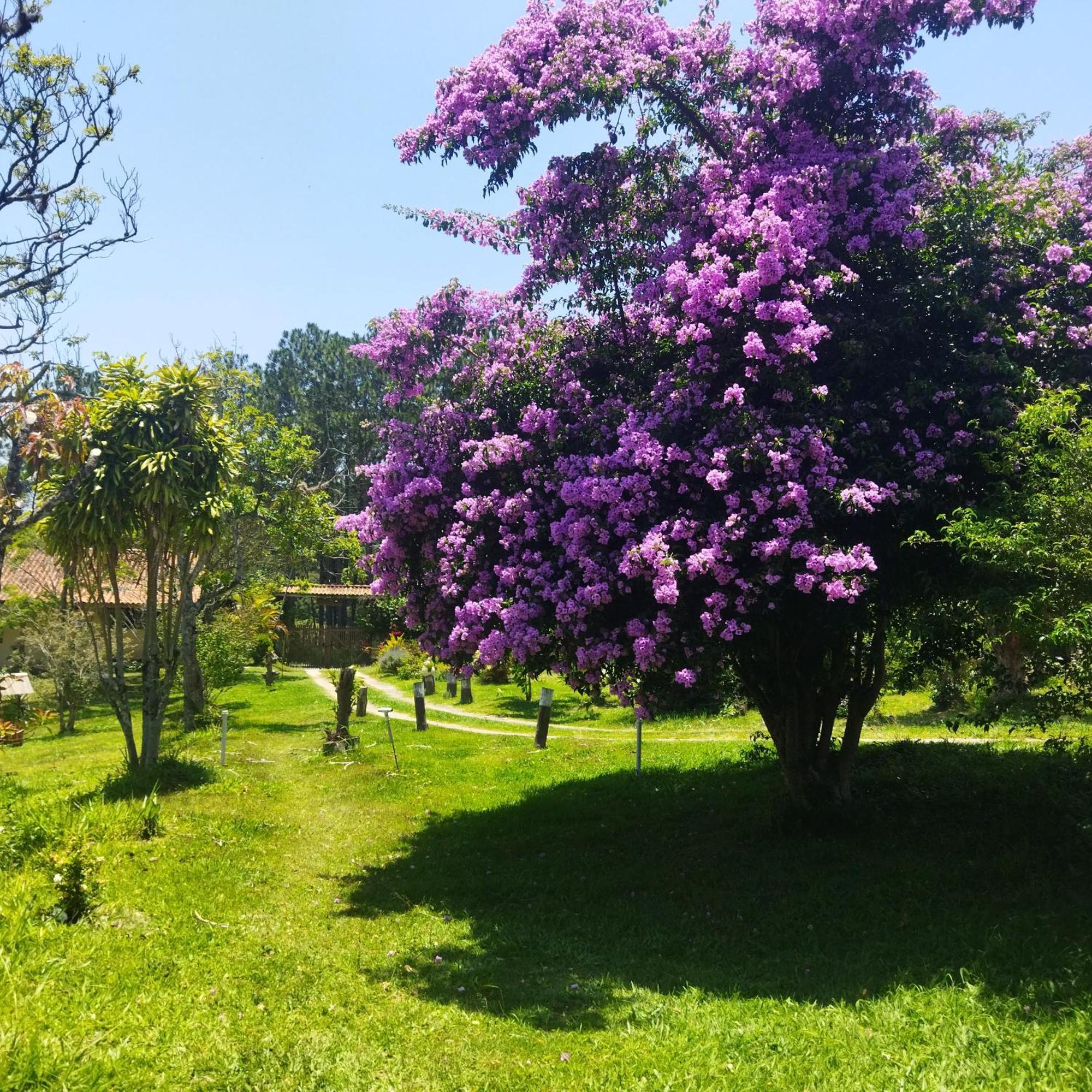 Chacara Aquila Villa เซาฮอเก ภายนอก รูปภาพ